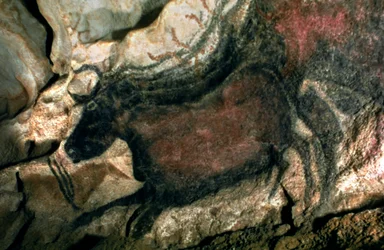 Rotsschildering van een zwarte stier, ca. 17000 v.Chr.